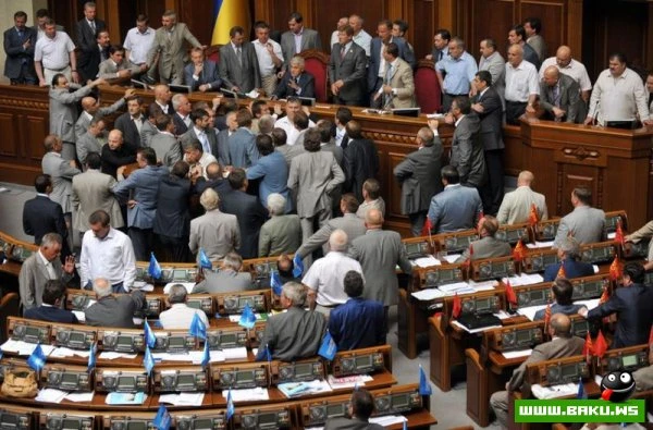 Кулачные бои чиновников [25 фото]