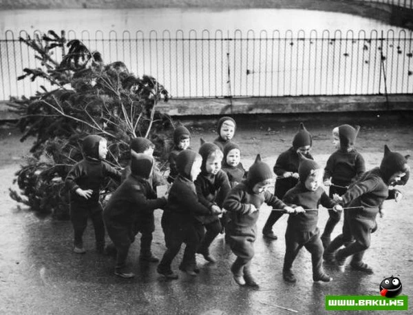Больше, чем просто фото