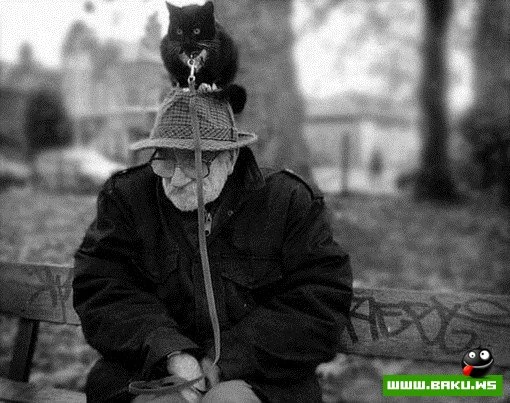Больше, чем просто фото