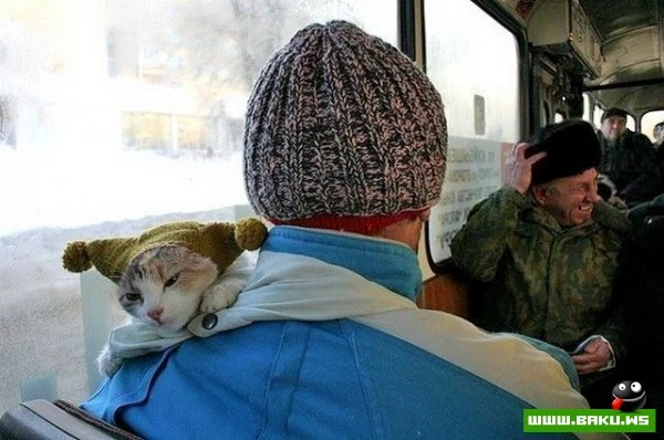 Больше, чем просто фото