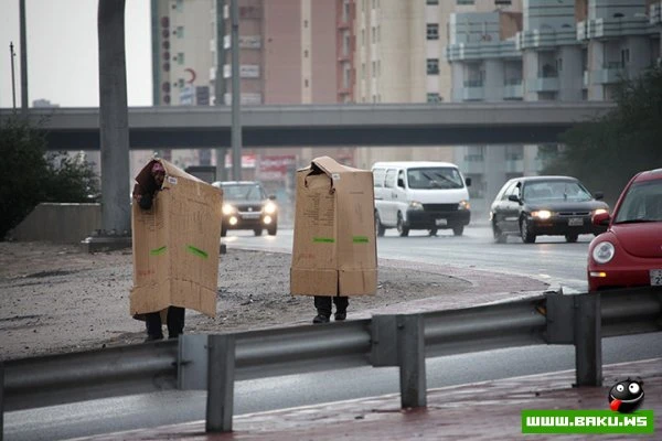26.12.2012 - день в фотографиях