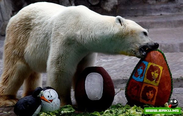 27.12.2012 - день в фотографиях