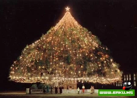 Необычные новогодние елки (10 фото)