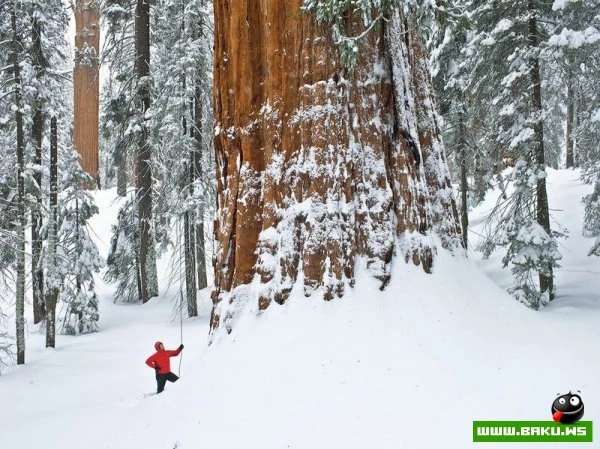 Лучшие фотографии от National Geographic за 2012 год