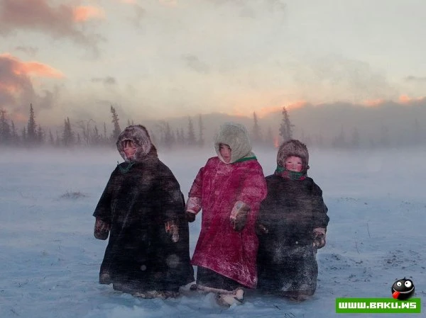 Лучшие фотографии от National Geographic за 2012 год