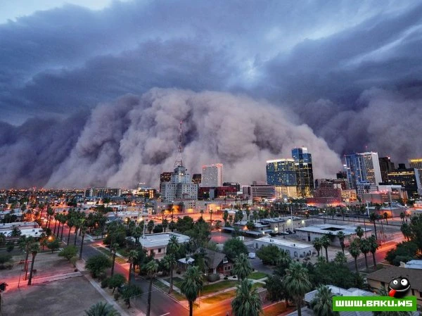 Лучшие фотографии от National Geographic за 2012 год