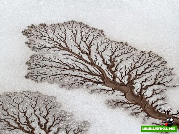 Лучшие фотографии от National Geographic за 2012 год