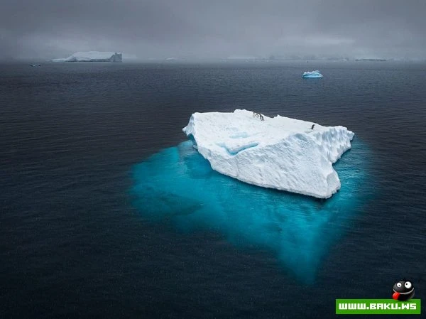 Лучшие фотографии от National Geographic за 2012 год