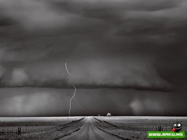 Лучшие фотографии от National Geographic за 2012 год