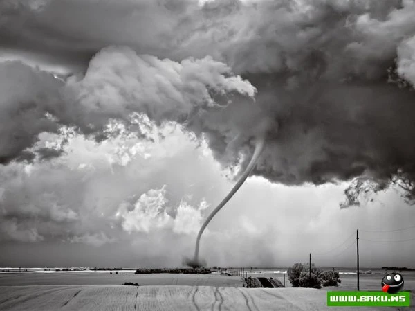 Лучшие фотографии от National Geographic за 2012 год