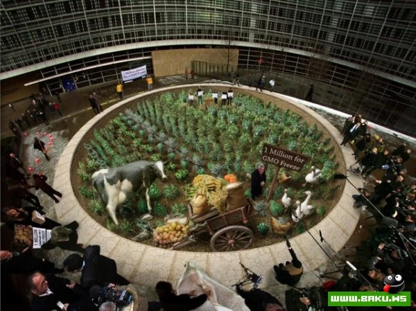 Новые 3D-рисунки уличного мастера Курта Веннера