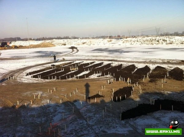 Женский портрет, выполненный в технике лэнд-арта