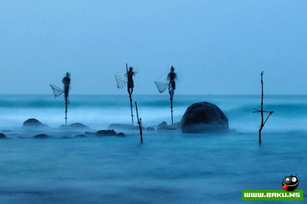 Победители конкурса «National Geographic Photo Contest 2012»