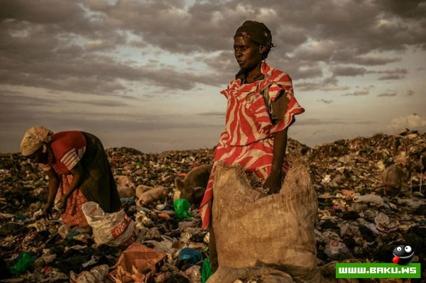 Победители конкурса «National Geographic Photo Contest 2012»