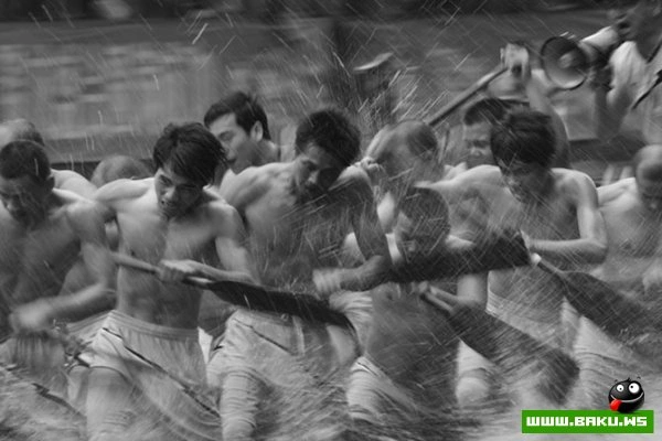 Победители конкурса «National Geographic Photo Contest 2012»