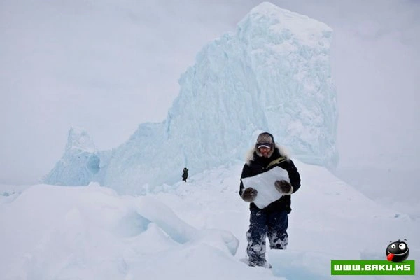 Победители конкурса «National Geographic Photo Contest 2012»