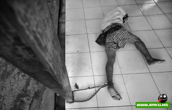 Победители конкурса «National Geographic Photo Contest 2012»