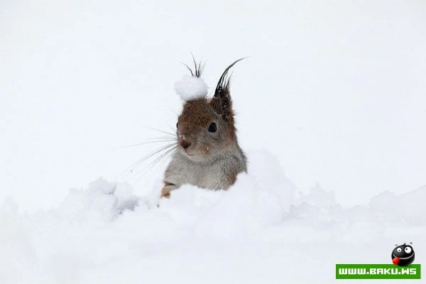 Больше, чем просто фотография