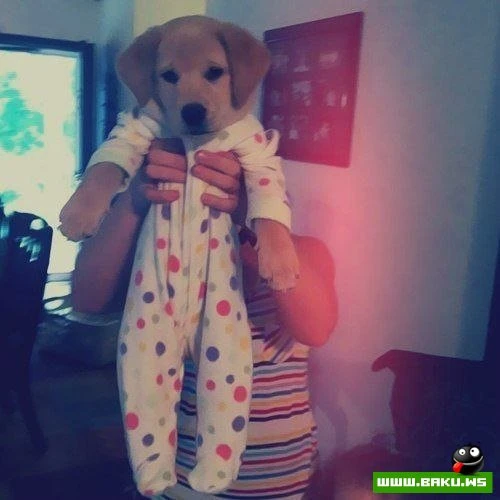 Больше, чем просто фотография