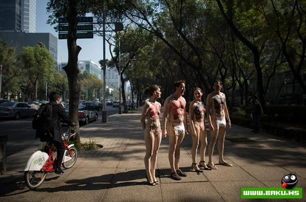 17.01.2013 - день в фотографиях