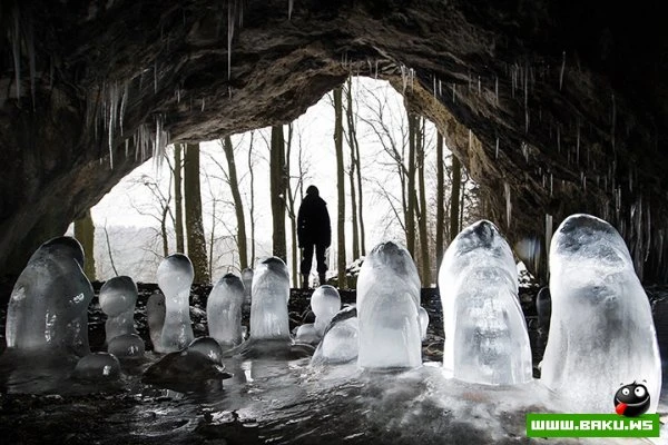 23.01.2013 - день в фотографиях