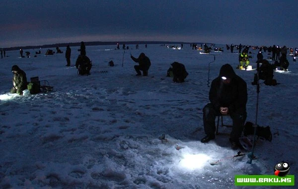 28.01.2012 - день в фотографиях
