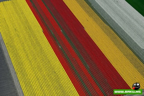 Радужная геометрия аэрофотографии Норманна Шкопа