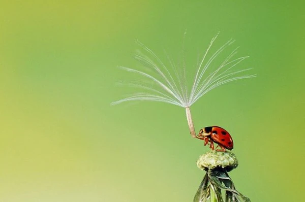 Sony World Photography Awards