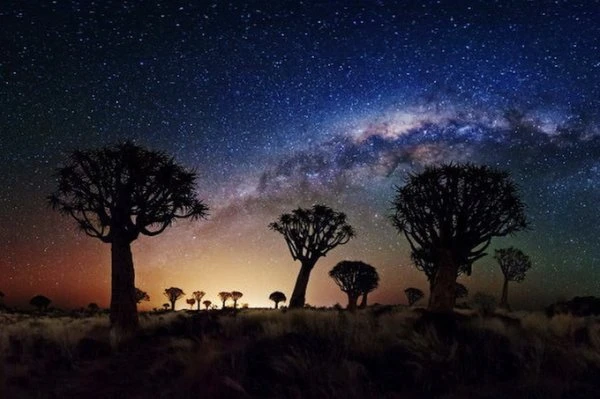 Sony World Photography Awards