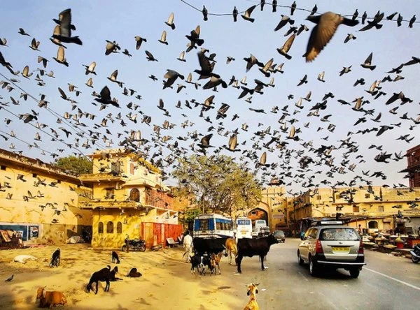 Sony World Photography Awards