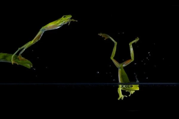 Sony World Photography Awards