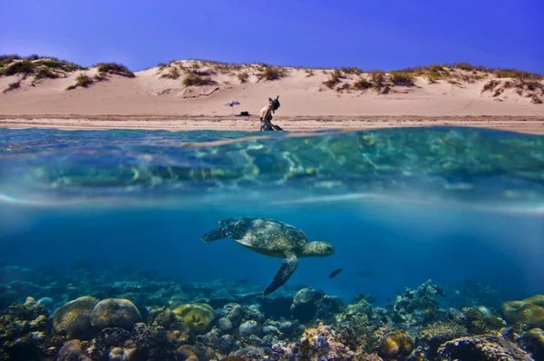 Sony World Photography Awards