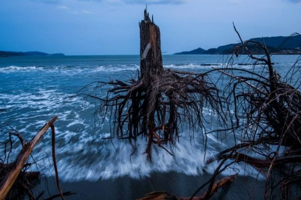 Победители World Press Photo 2013