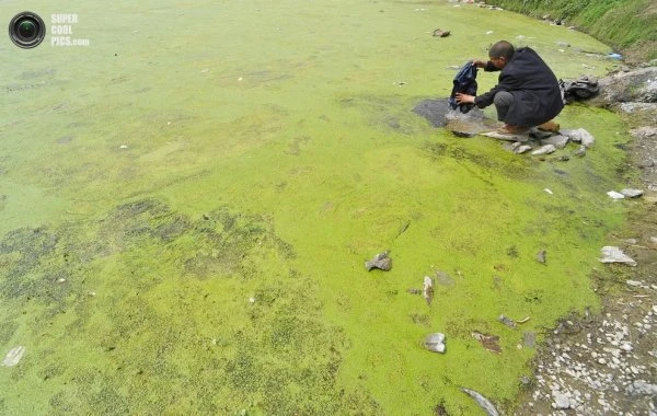 Загрязнение воды в Китае приводит в ужас