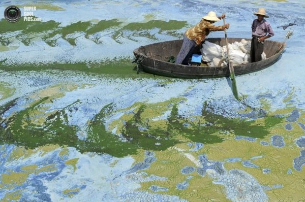 Загрязнение воды в Китае приводит в ужас