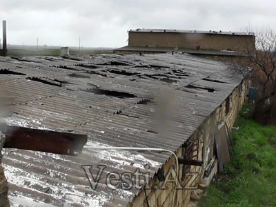 В Сиязани заживо сгорели 10 тысяч цыплят