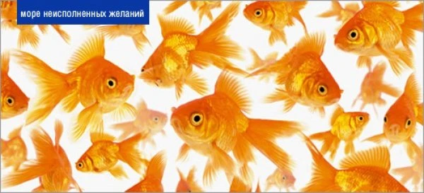 Фотографии со смыслом