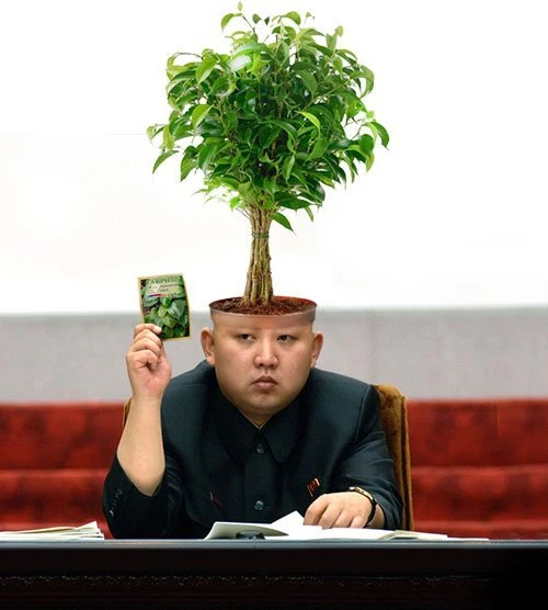 Фотожабы на Ким Чен Ына