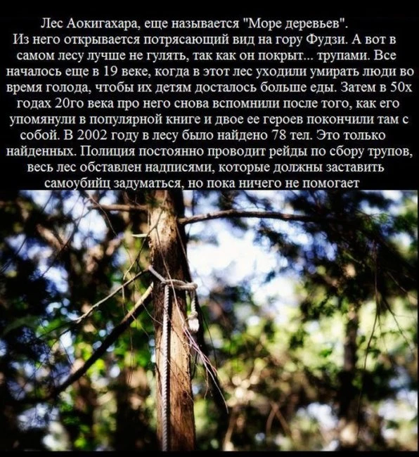 Мистические уголки нашей планеты