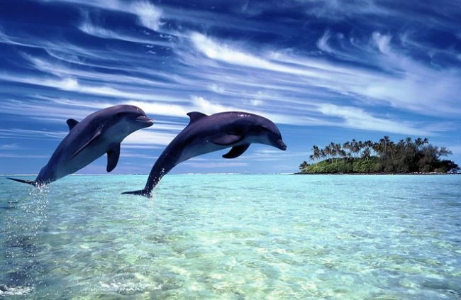 10 самых красивых островов мира