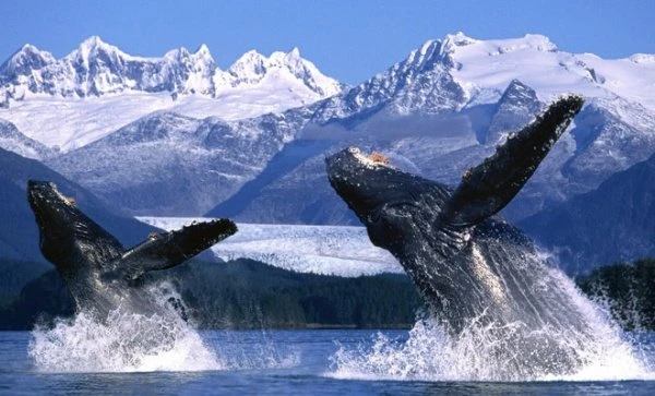 10 самых красивых островов мира