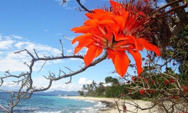 10 самых красивых островов мира