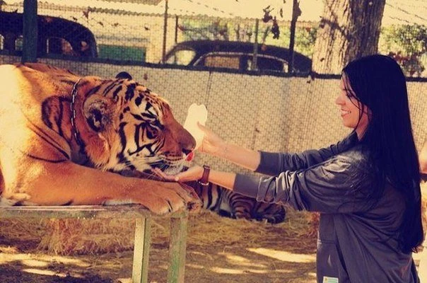 Lujan Zoo - необычный зоопарк