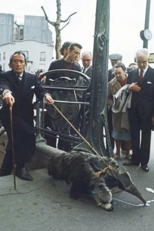 Редкие фотографии звезд