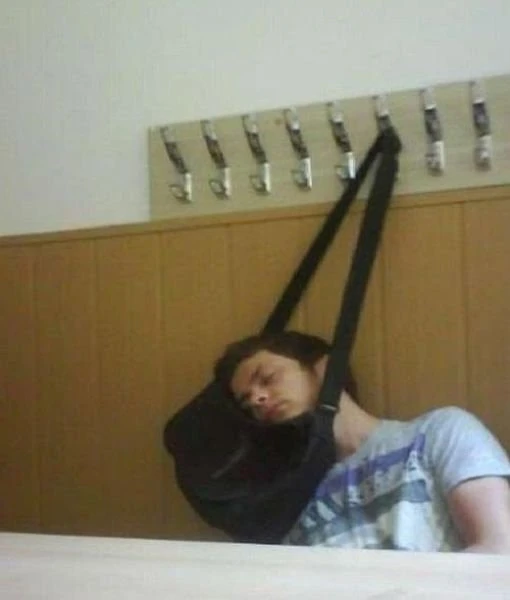 Если вы считаете себя бездельником, посмотрите на этих лентяев