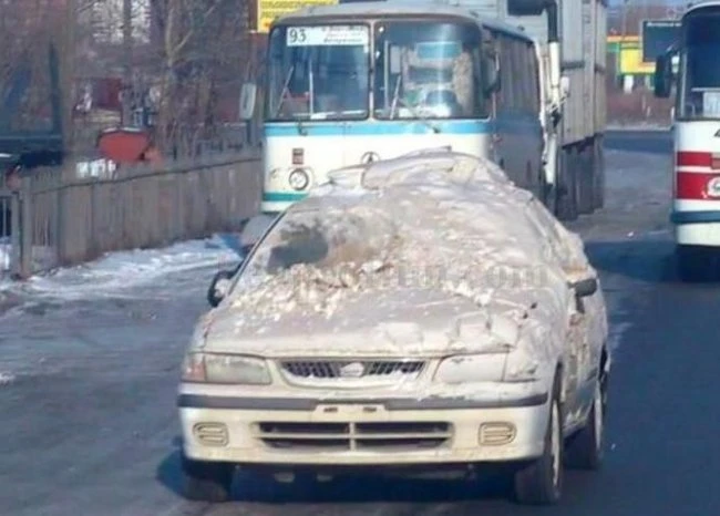 Если вы считаете себя бездельником, посмотрите на этих лентяев