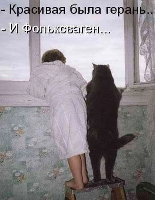 Автомир в прикольных картинках