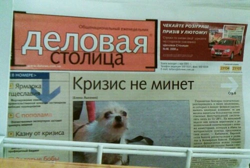 Маразмы месяца