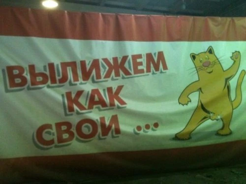 Маразмы месяца