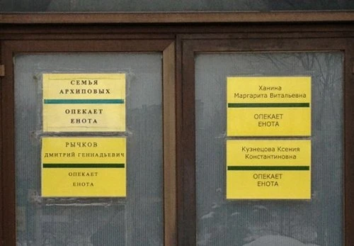 Маразмы месяца
